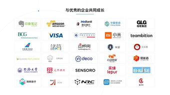 信息技術(shù)咨詢服務(wù)市場分析 看準(zhǔn)網(wǎng)視角下的行業(yè)生態(tài)